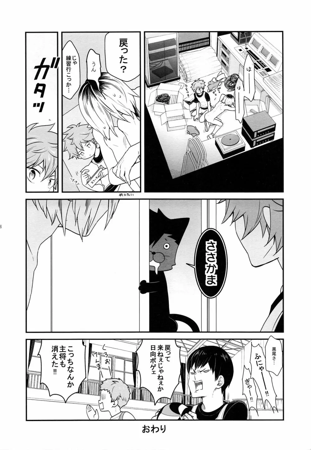 ヒナネコ2 - page15