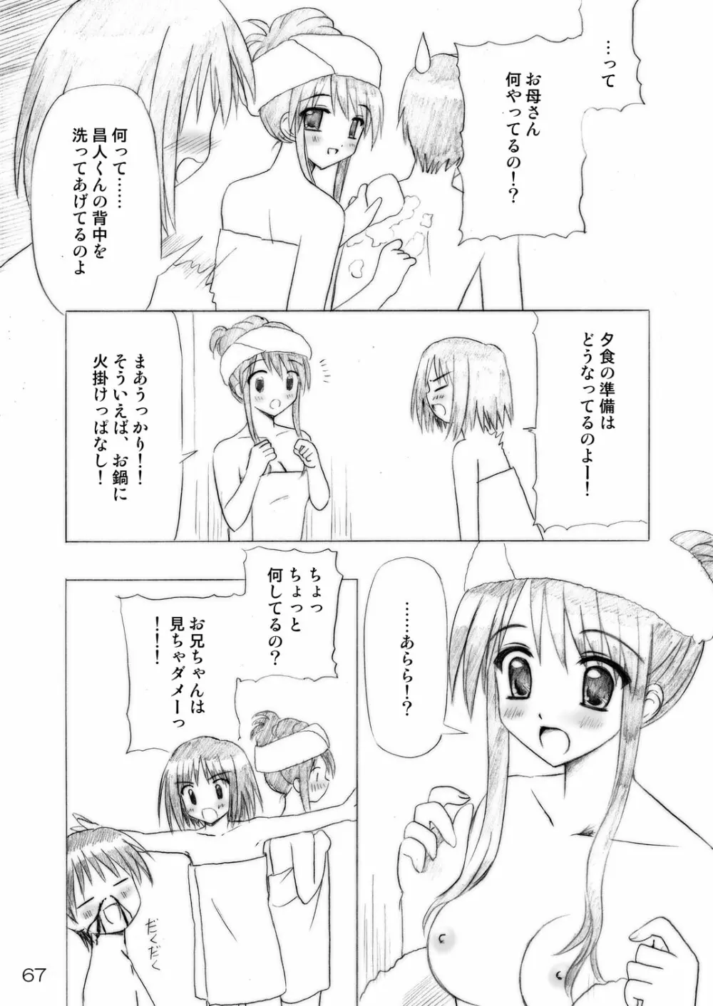 いもうとえっち～コミック総集編～ - page67