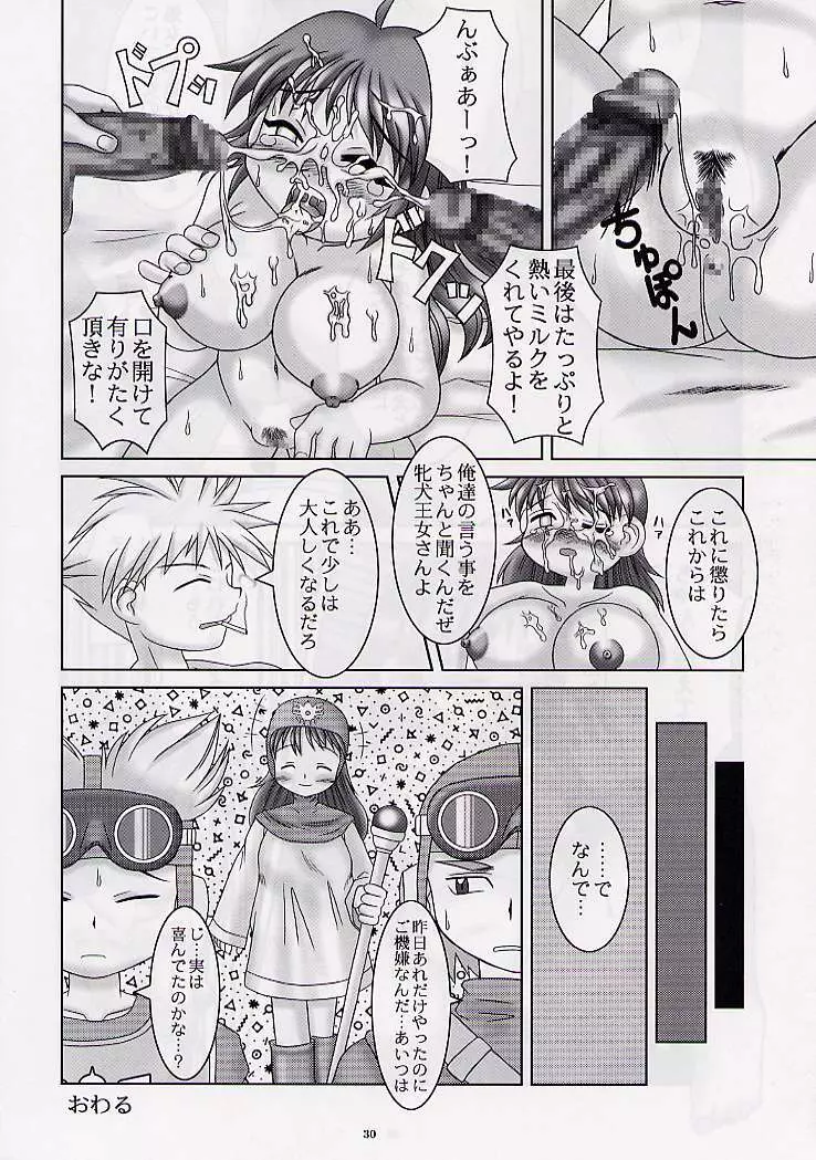 DRAGONQUEST nirvana - page29
