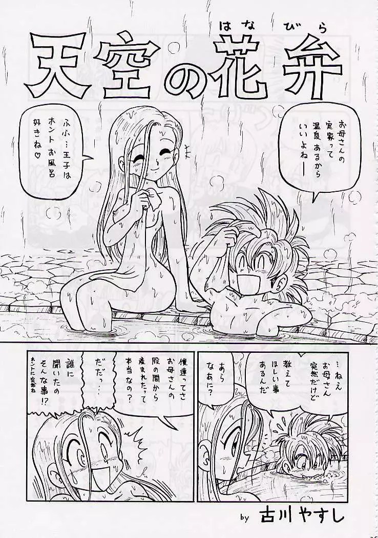 DRAGONQUEST nirvana - page38