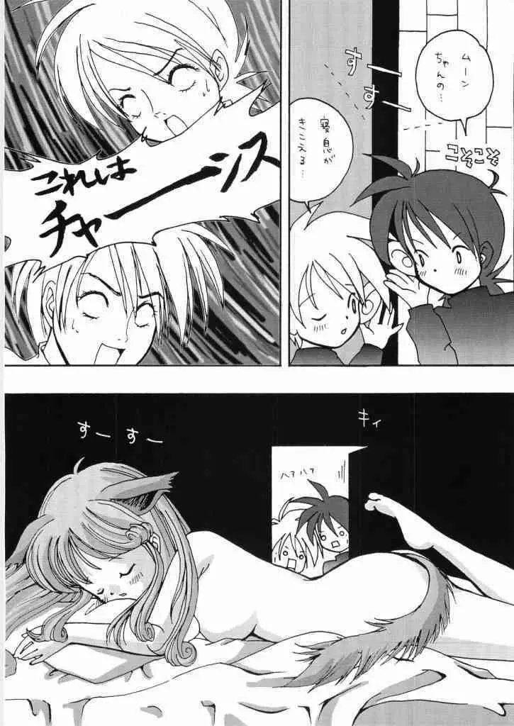 レイクナバ肉の行進 - page61