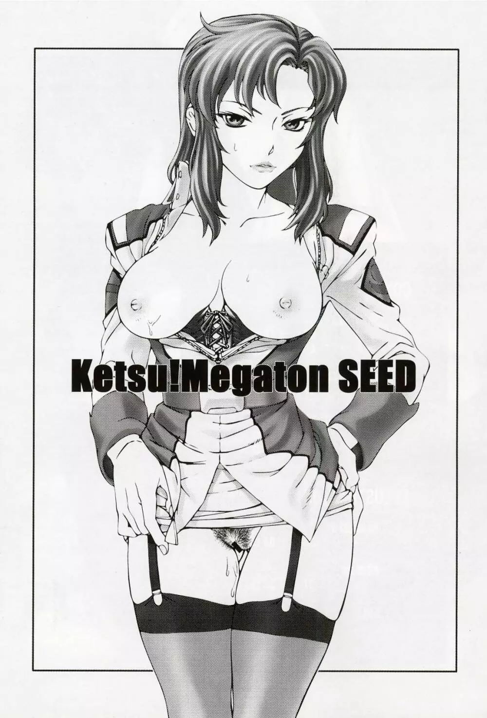 KETSU！Megaton SEED - page2