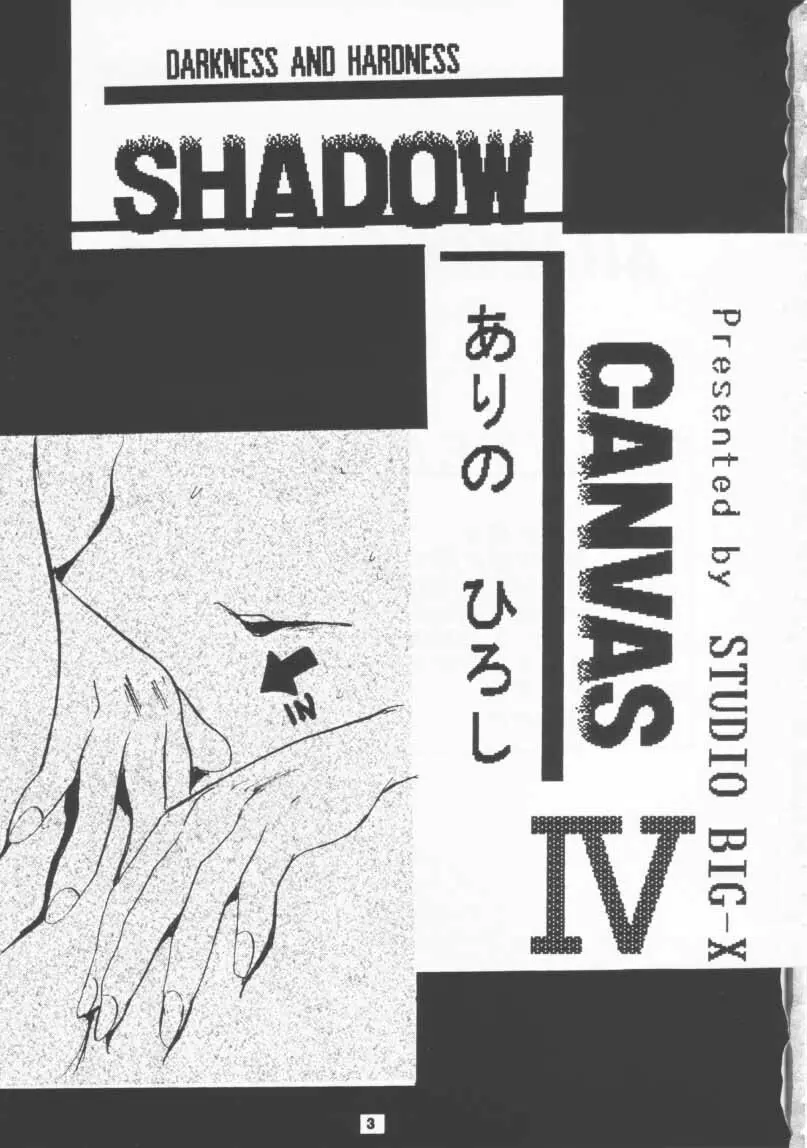 SHADOW CANVAS 4 - page2