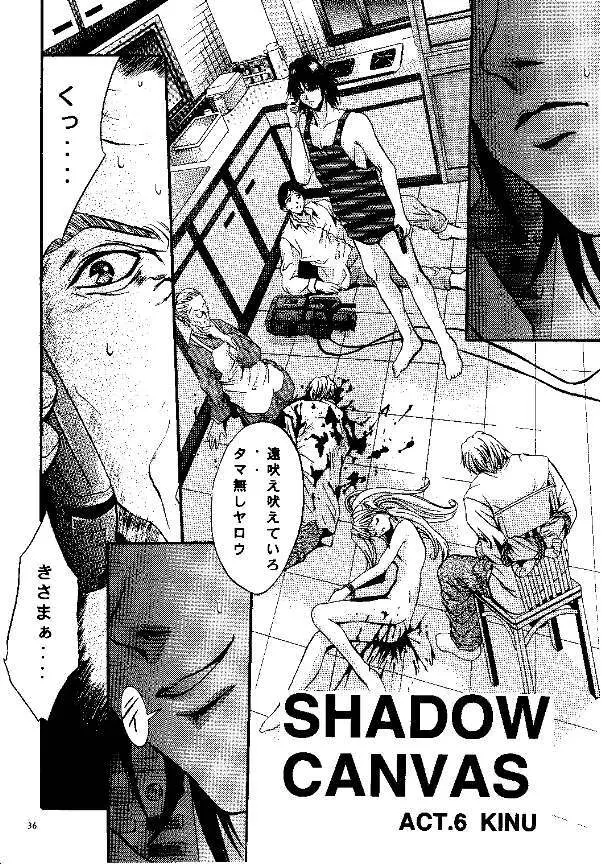 SHADOW CANVAS 9 - page33