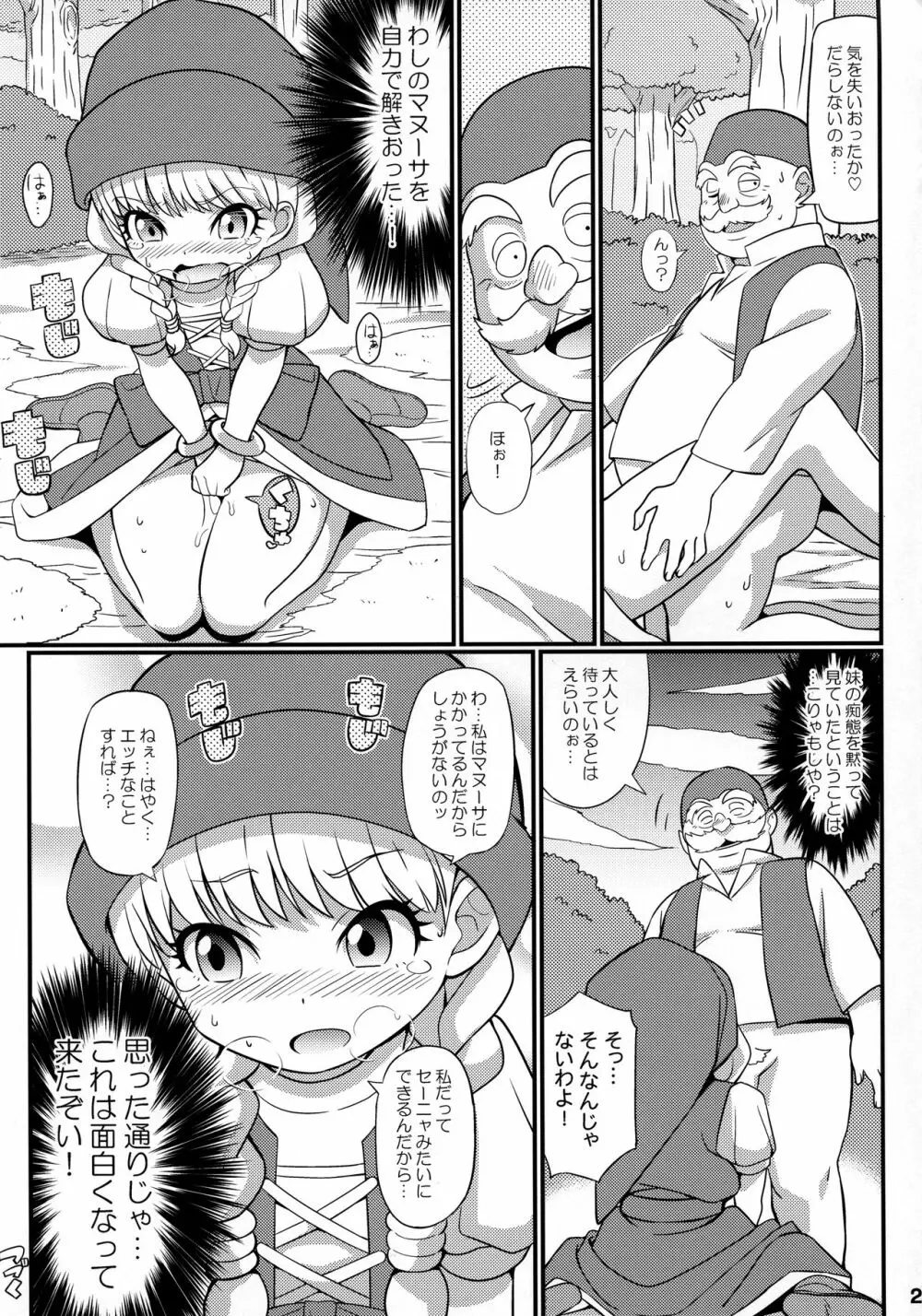 すきすき♡どらくえいれぶん - page24