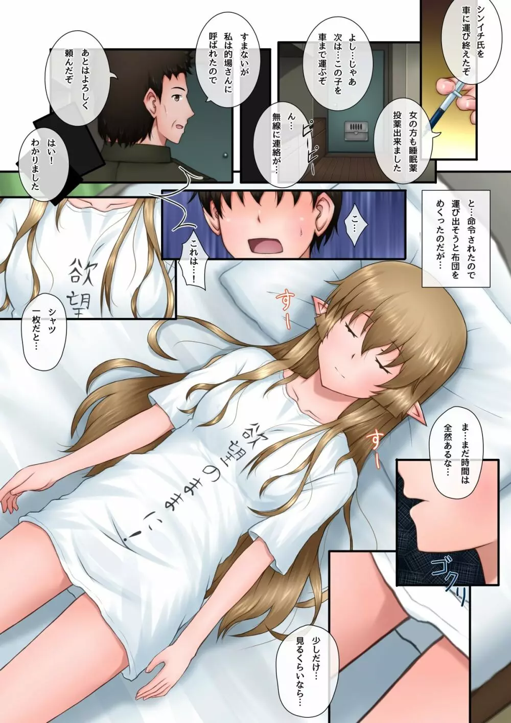 眠っているとあるハーフエルフの娘にいたずらっ!! - page4