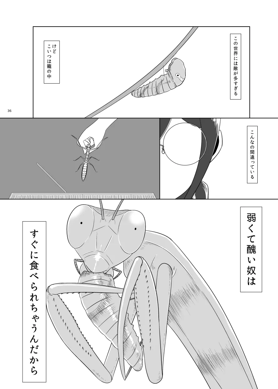 F川T子の犯罪 - page35