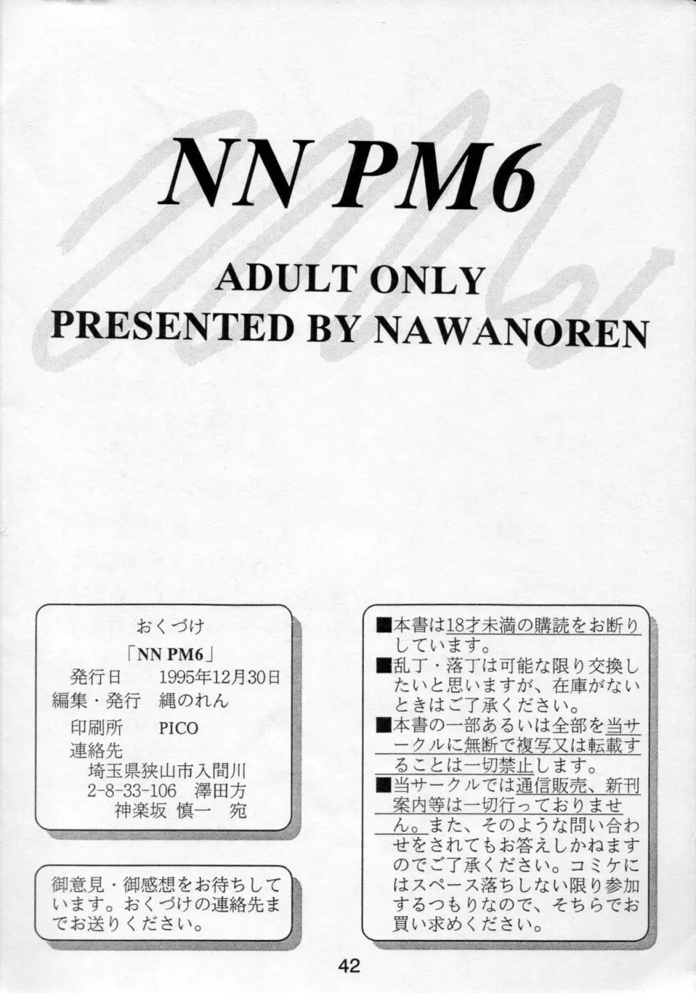 NN PM6 - page41