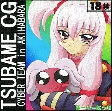 TSUBAME CG CYBER TEAM in AKIHABARA - page1
