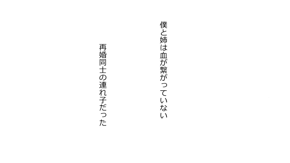 僕を助けてくれた姉がこの度、DQN達に滅茶苦茶にされました。 - page29