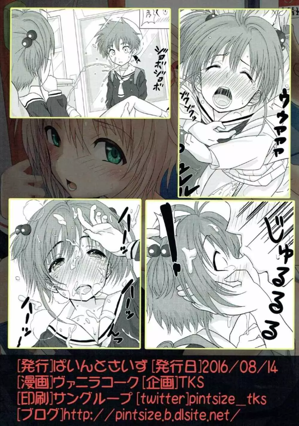 SAKURA BREAK2 ～悪夢の集団痴漢バス～ - page26