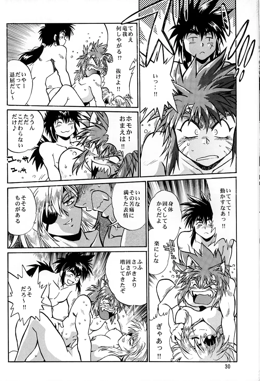 裏銀河戦国群雄伝 南天編 - page29