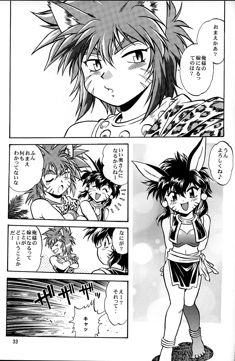 裏銀河戦国群雄伝 南天編 - page32