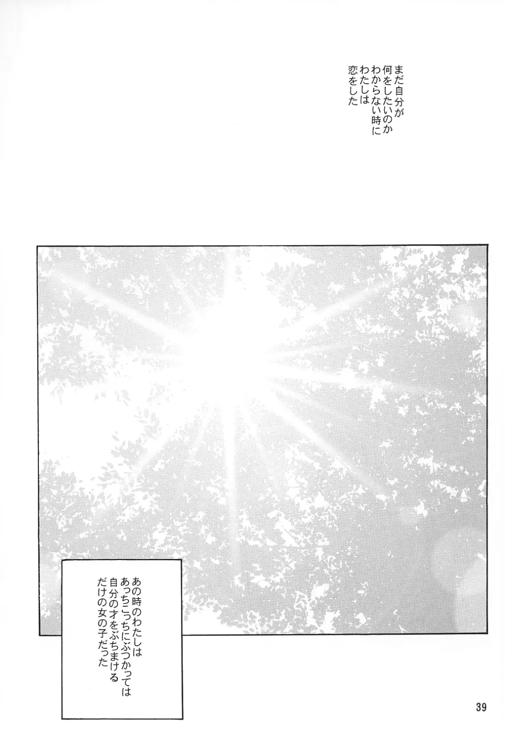 裏銀河戦国群雄伝 南天編 - page38