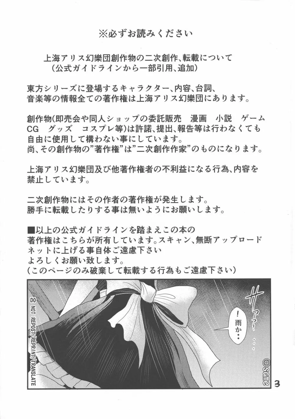 ふたなり妹様の愛玩人形 - page2