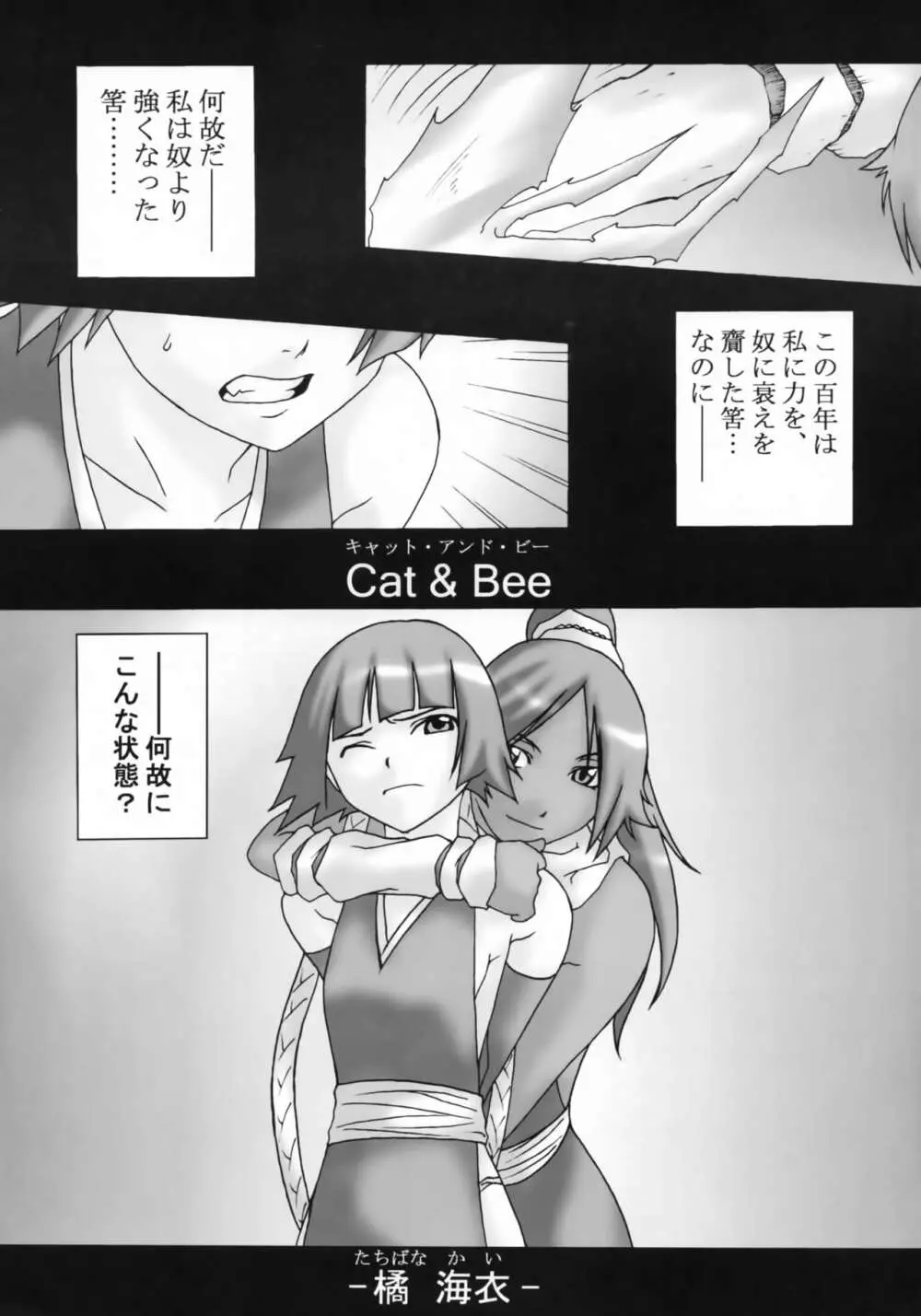 HCAELB -裏ブリーチ- - page4