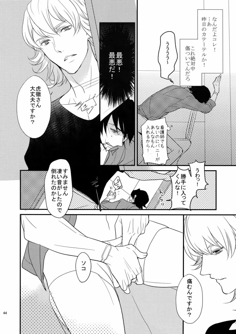 BOROZS兎虎再録 - page43