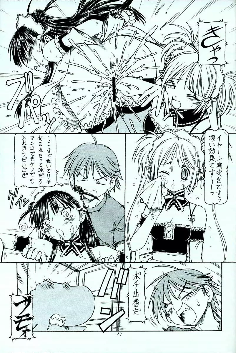 これが鬼畜な御主人様4 - page28