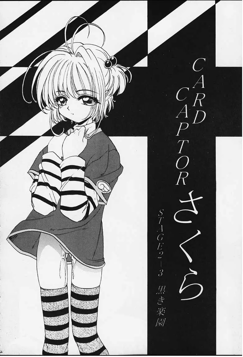 STALE WORLD IX & X CARD CAPTOR さくらVol. 3 & 4 REMIX - page11