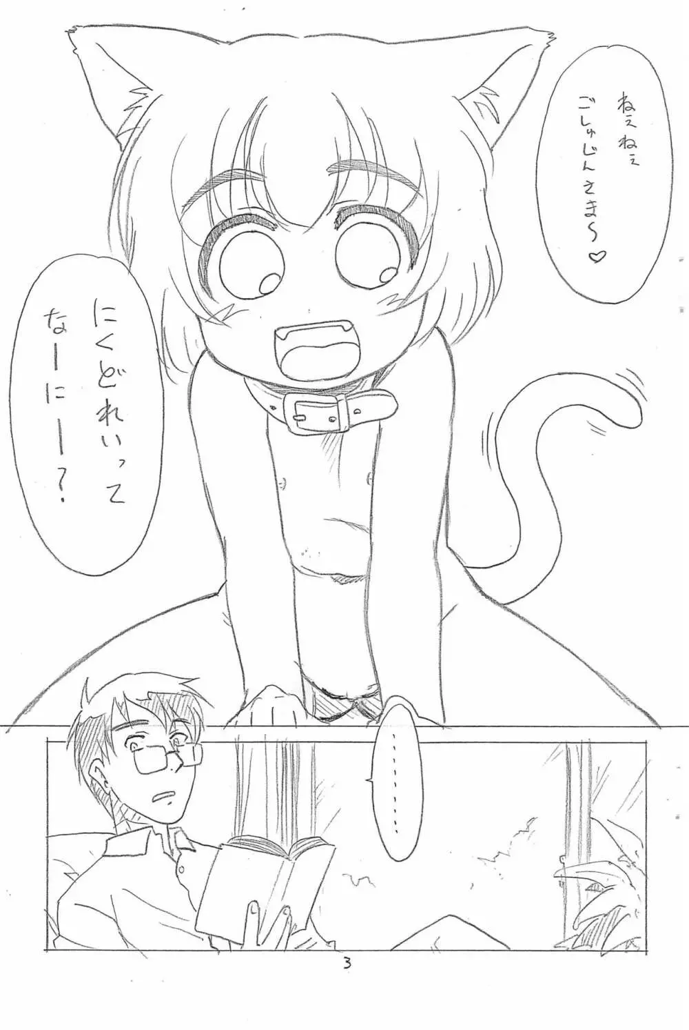 ひなと愉快なご主人さま。 - page3