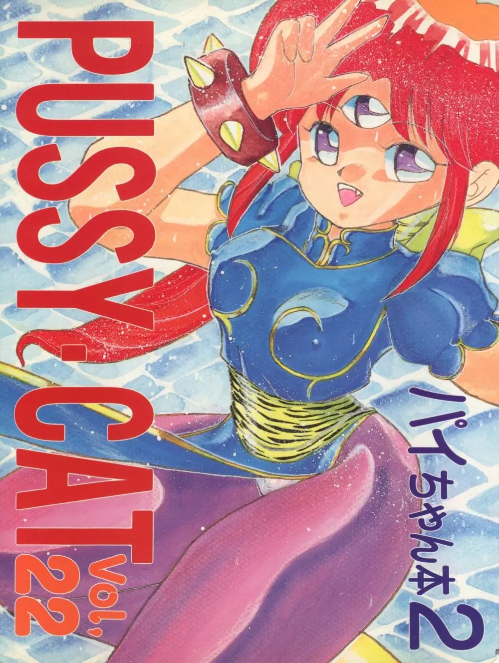 Pussy・CAT Vol.22 パイちゃん本 2