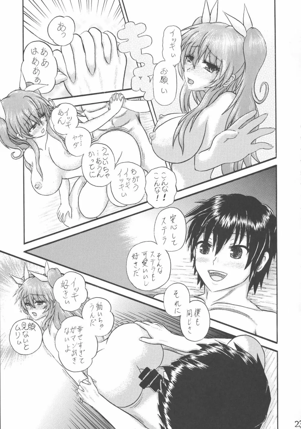 運命先夜の聖儀式 - page23