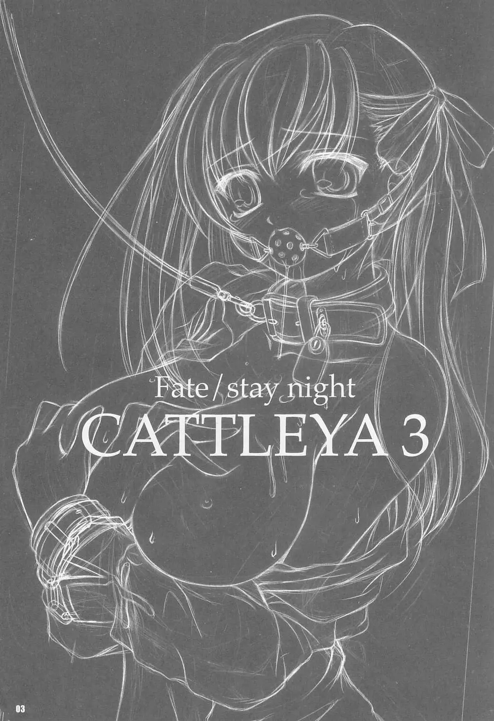 CATTLEYA 3 - page2