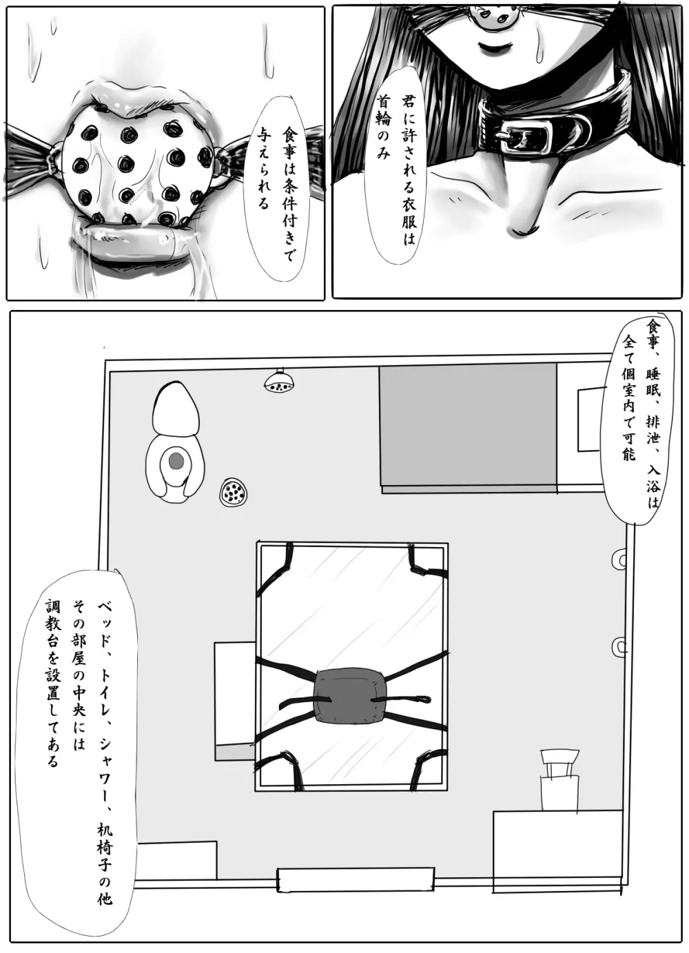 女学生監禁調教～拘束針刺し電流～ - page4