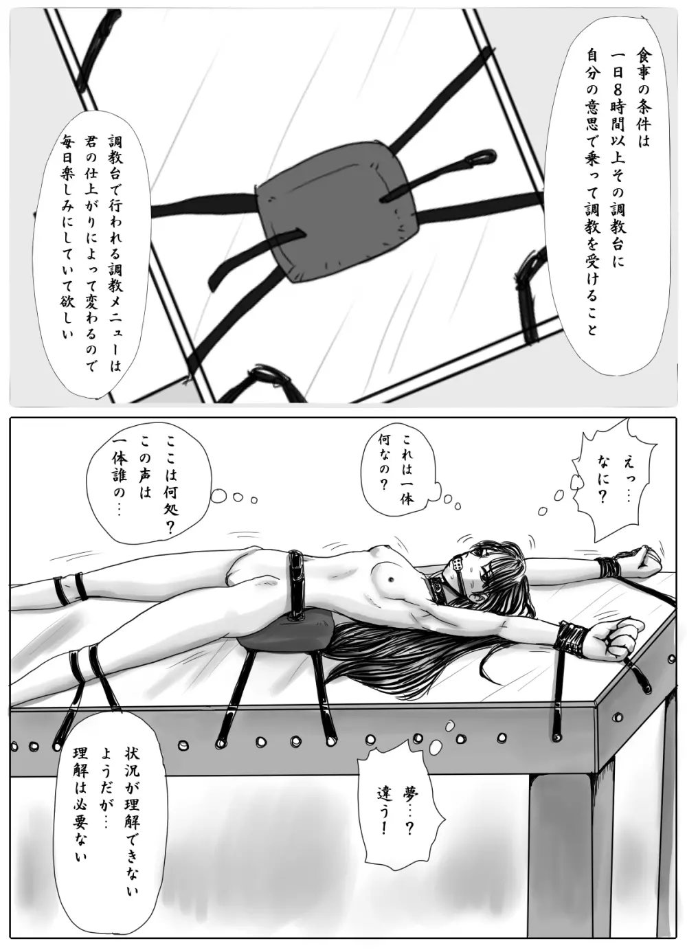 女学生監禁調教～拘束針刺し電流～ - page5