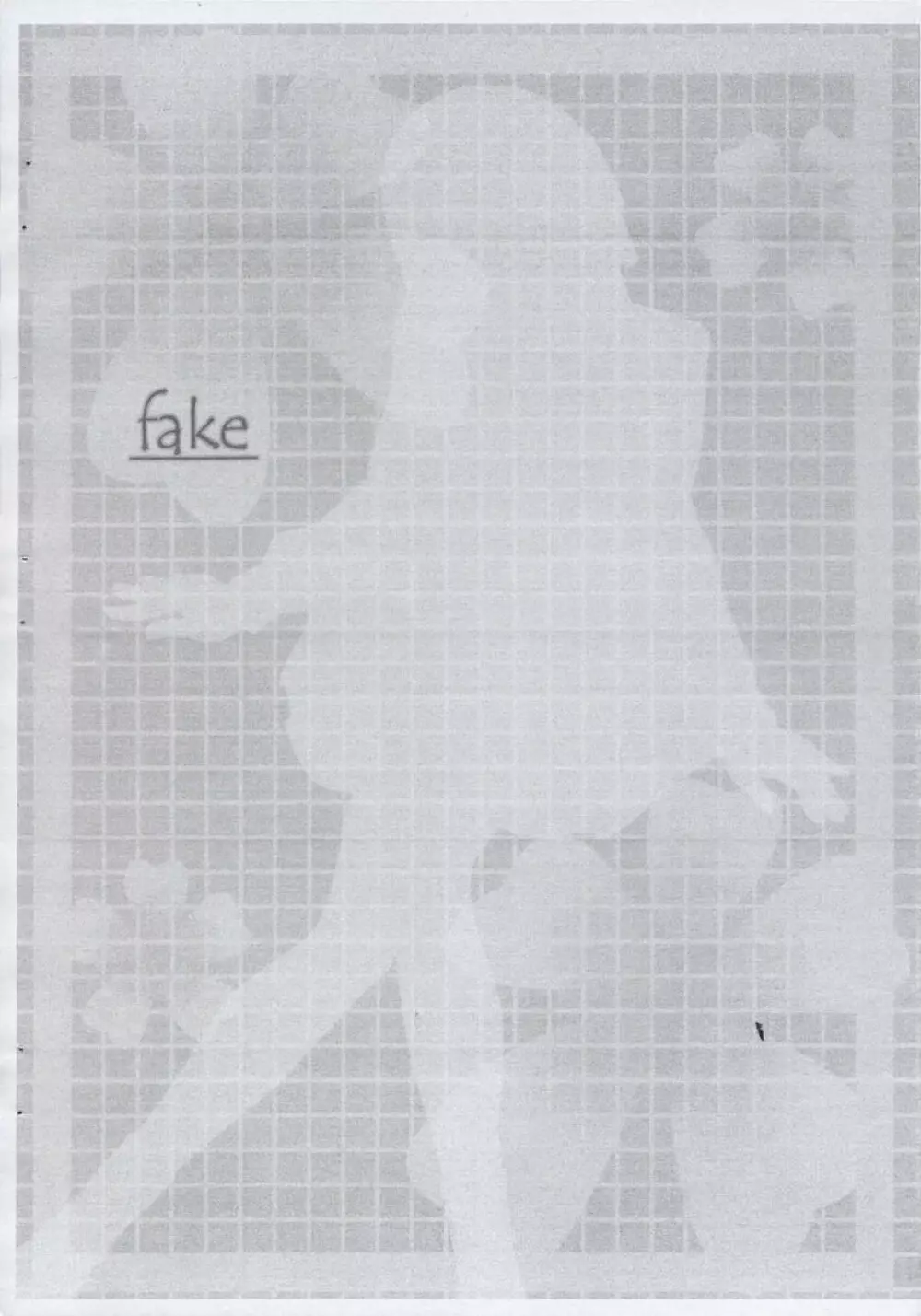 fake - page3