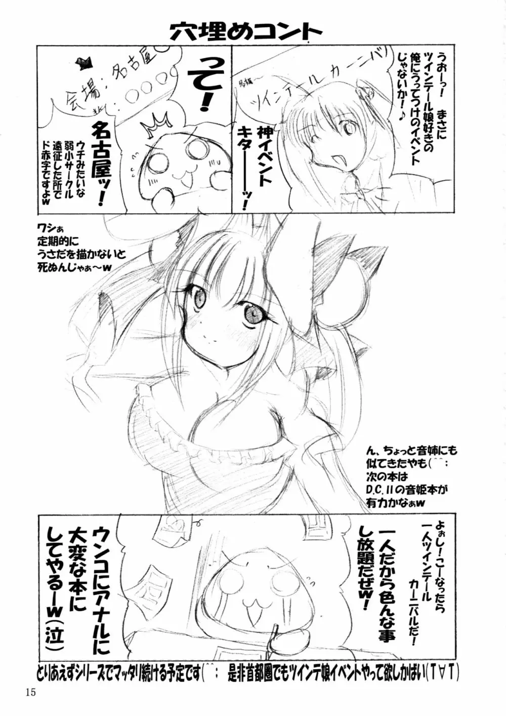 ひとりツインテール＆アブノーマルカーニバル - page16