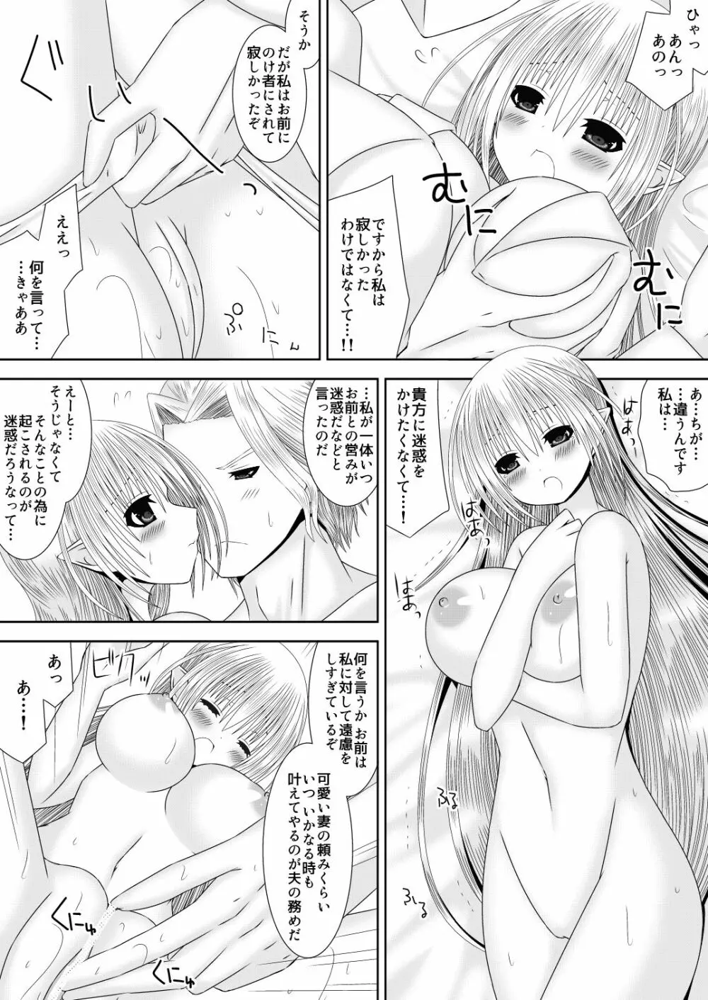 暗夜王妃のおしごと２ - page10