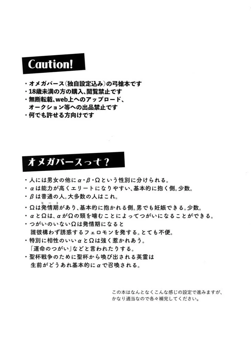 αのランサーが無理矢理ッΩにされてヒドい目にあう話 - page2