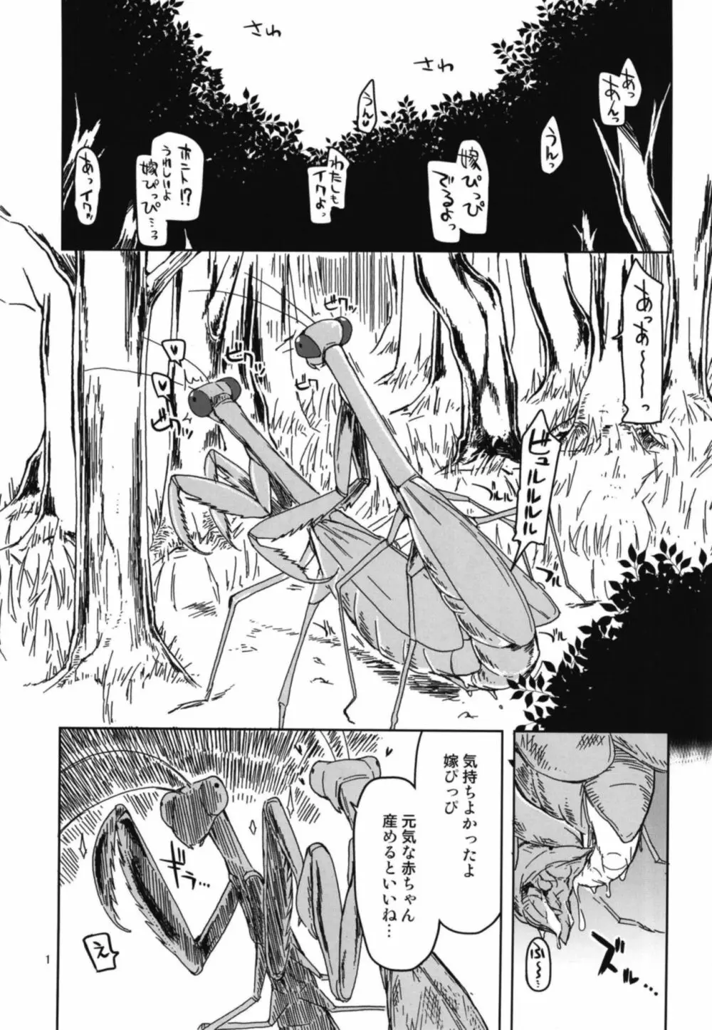 ドスケベエルフの異種姦日記 5 - page3