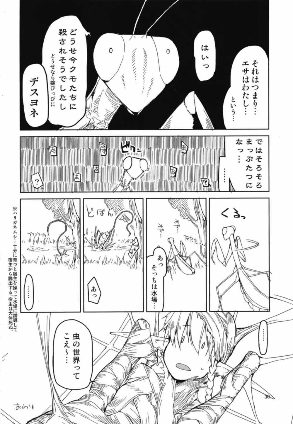 ドスケベエルフの異種姦日記 5 - page32