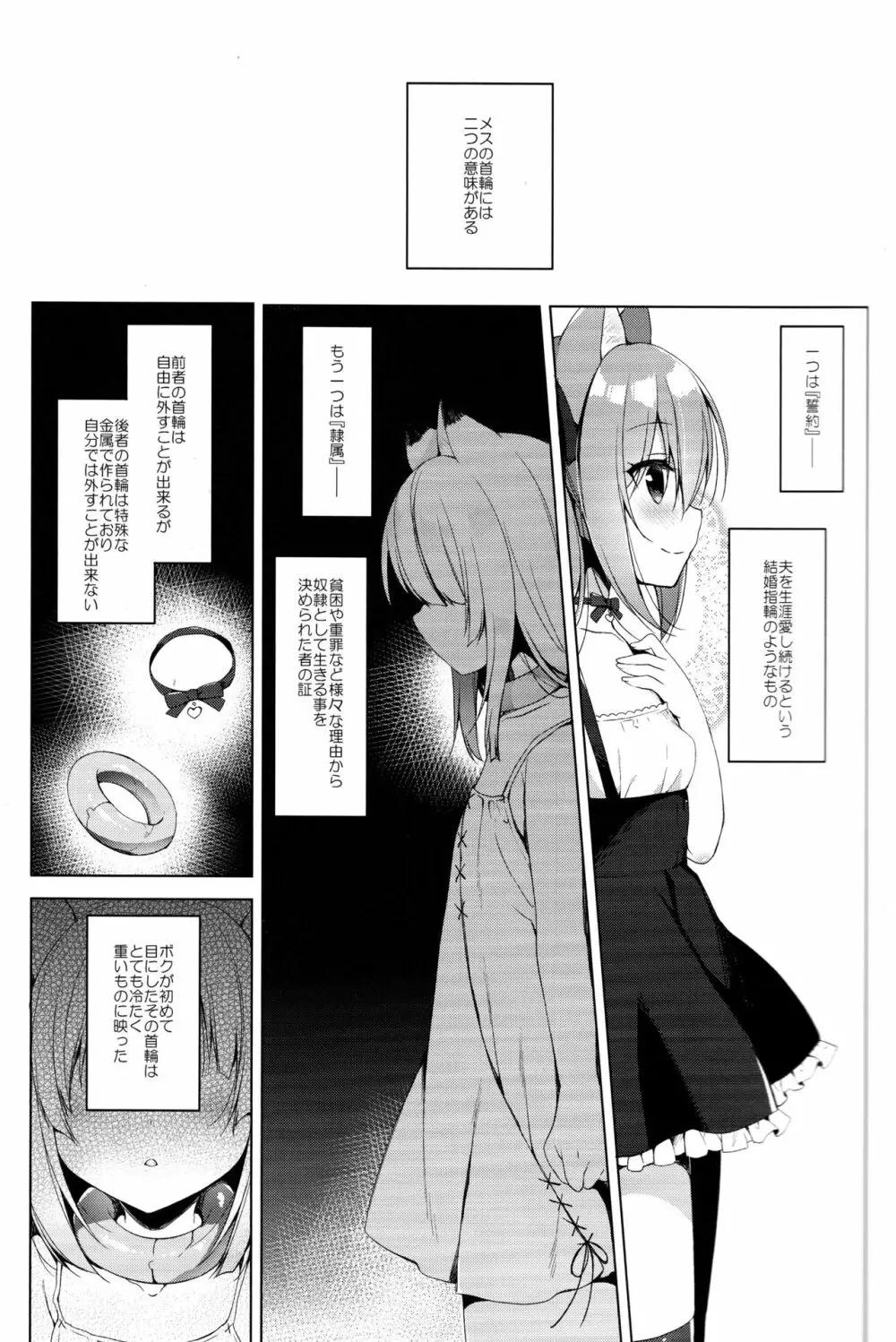 ボクの理想の異世界生活3 - page5