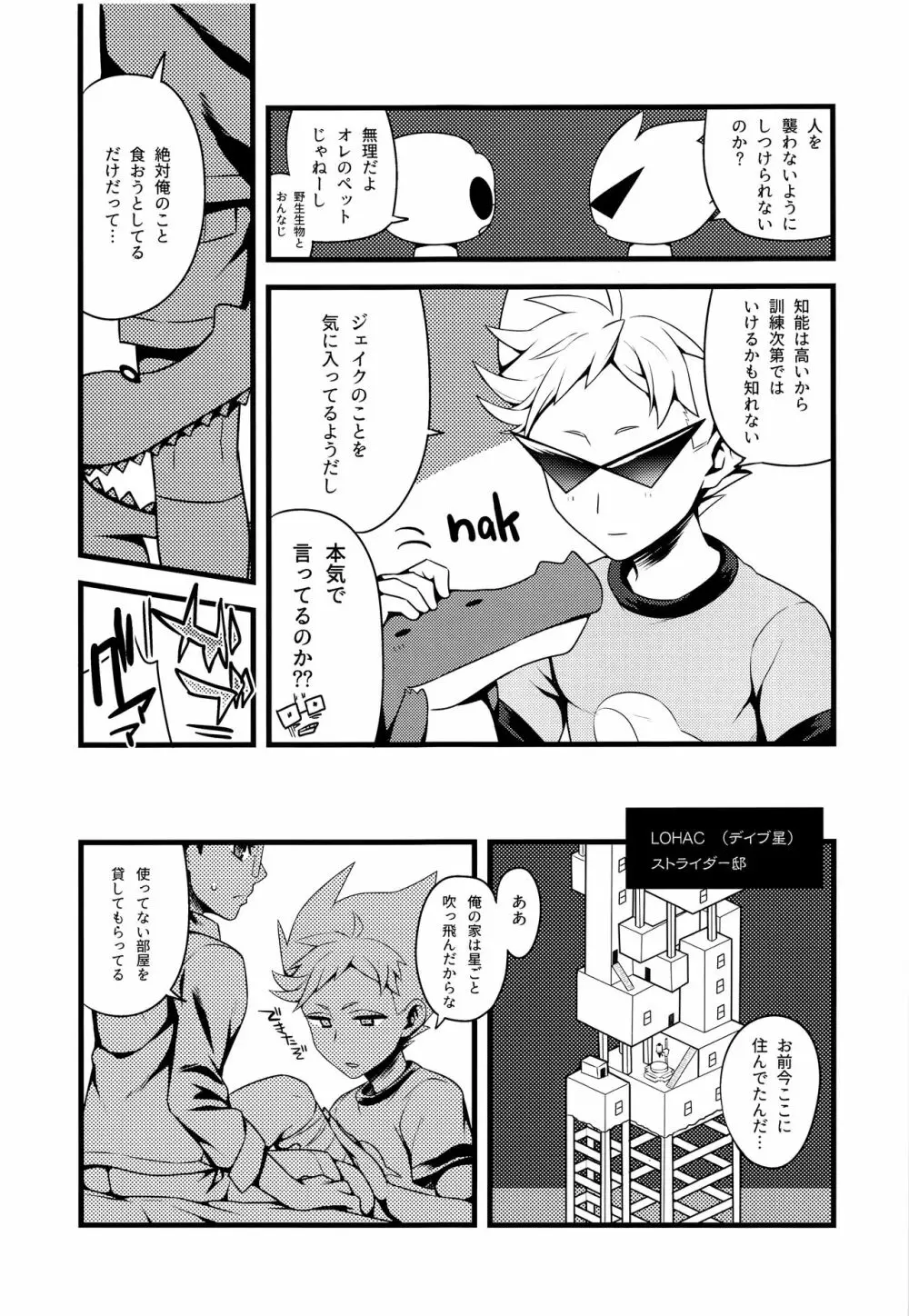 ジョイアスダリエンス - page8