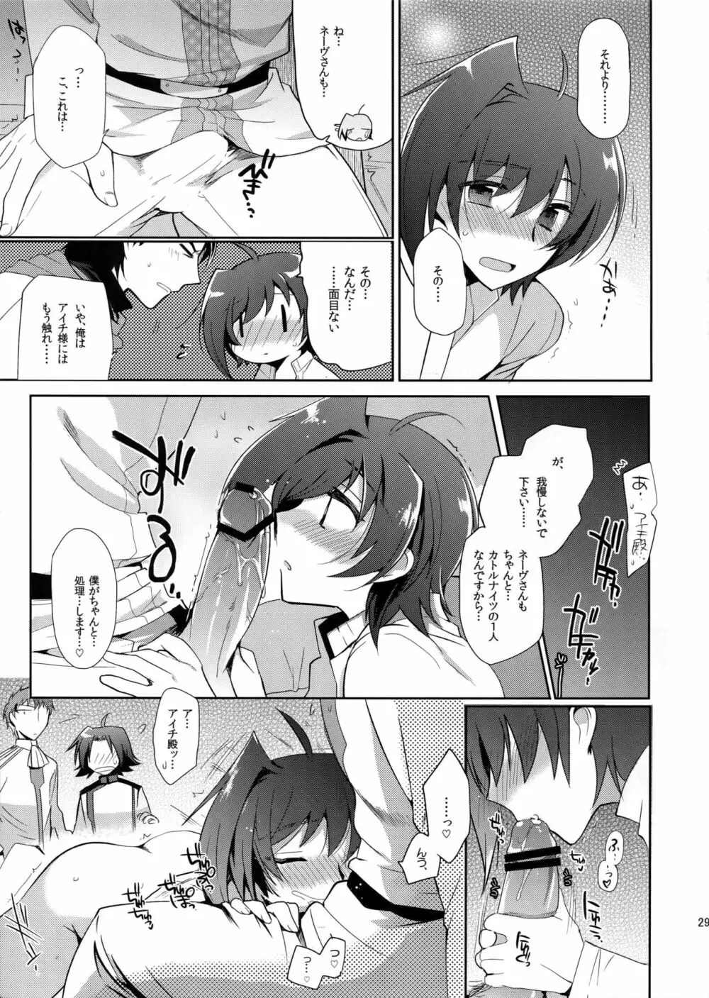 カトルナイツとアイチさま - page28