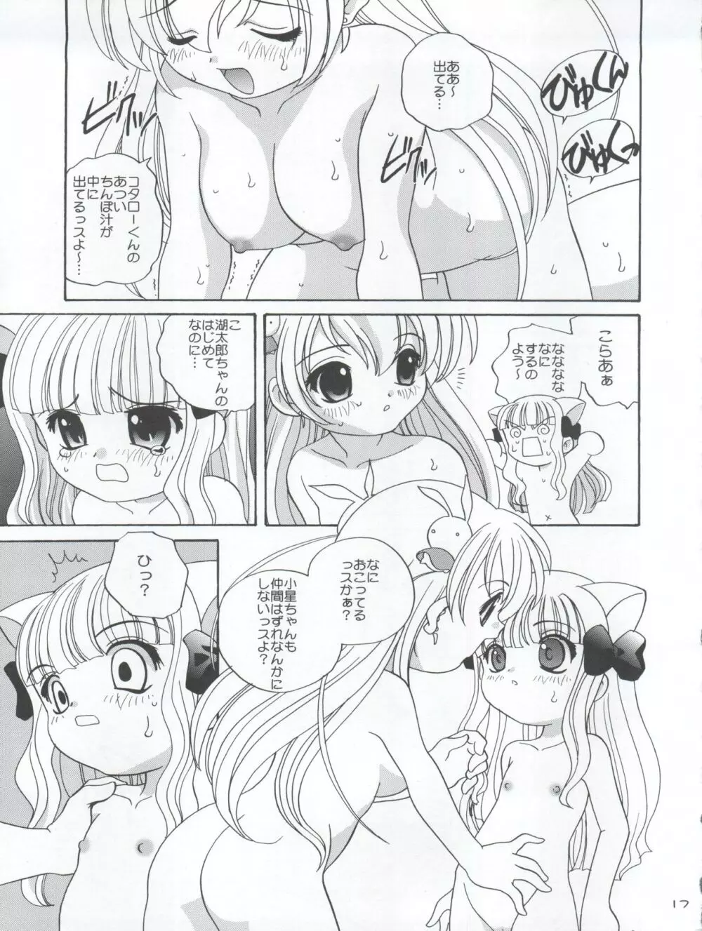 小星の楽しみ方 - page19