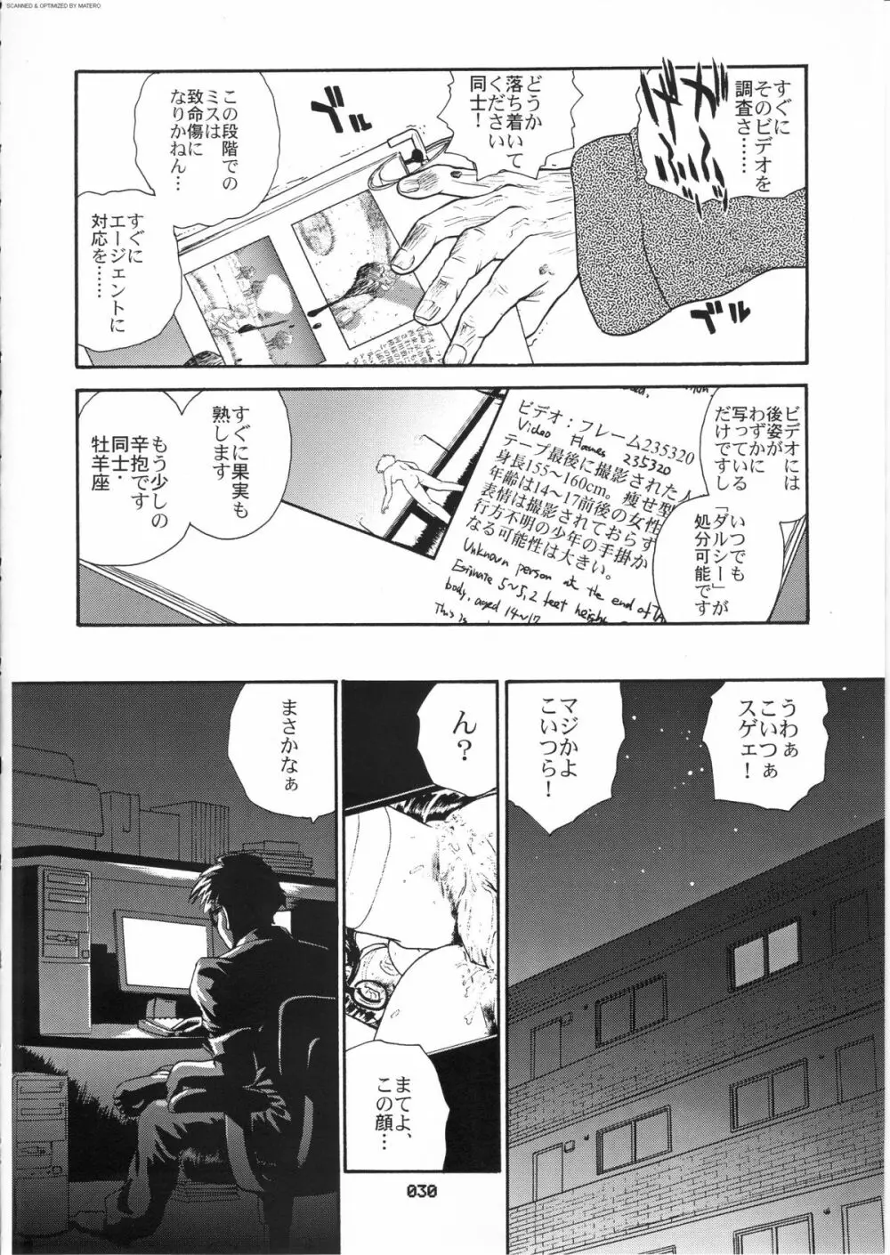 ダルシーレポート 3 - page29