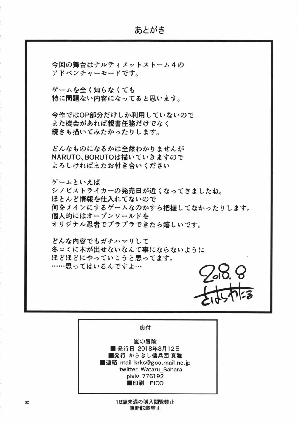 嵐の冒険 - page29