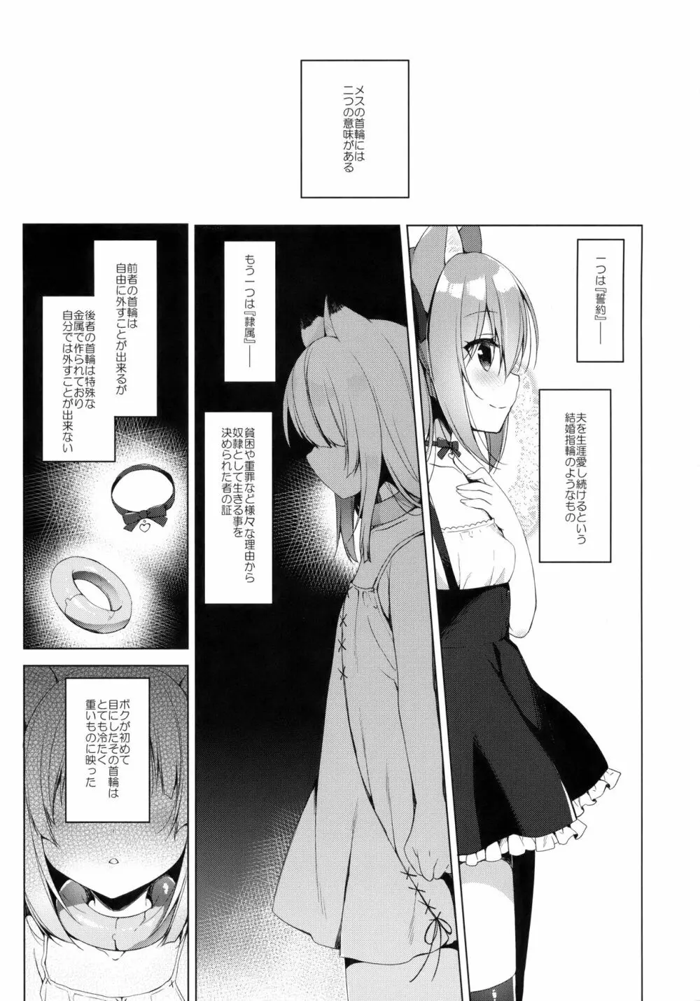 ボクの理想の異世界生活3 - page5