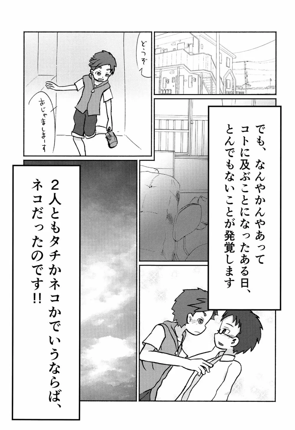 解決!? ネコ×ネコソリューション - page8