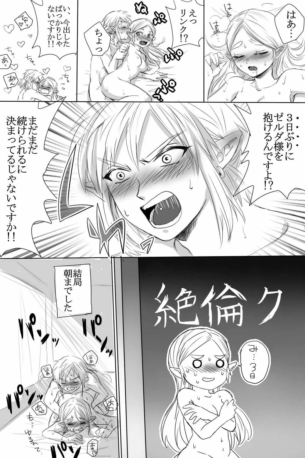 ブレワイのリンゼルがひたすらいちゃいちゃしてすけべなことする漫画 - page13