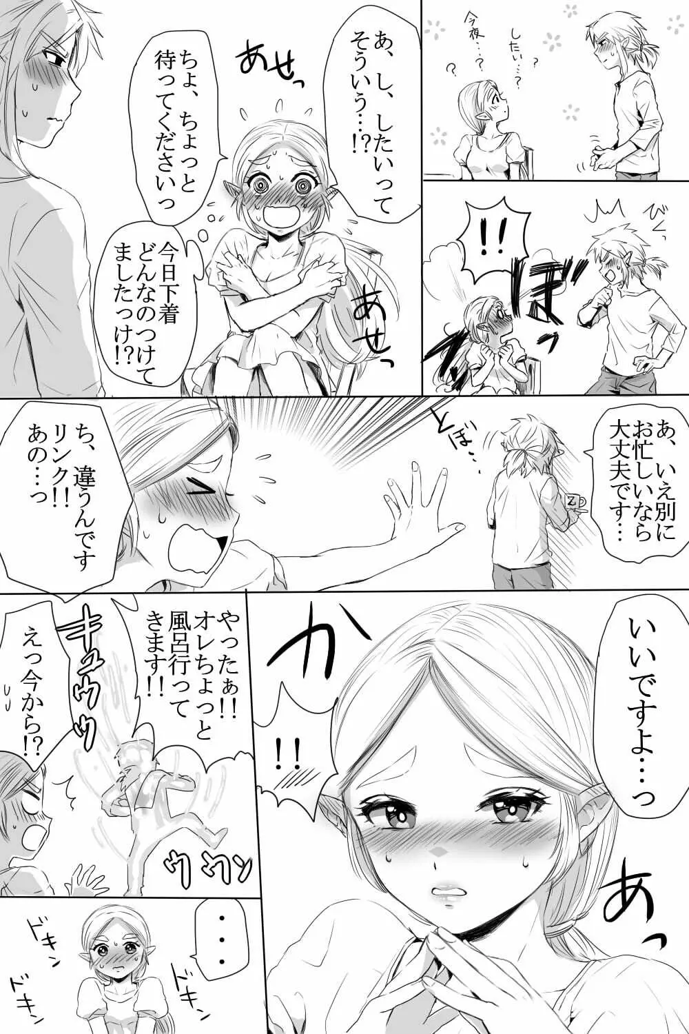 ブレワイのリンゼルがひたすらいちゃいちゃしてすけべなことする漫画 - page2