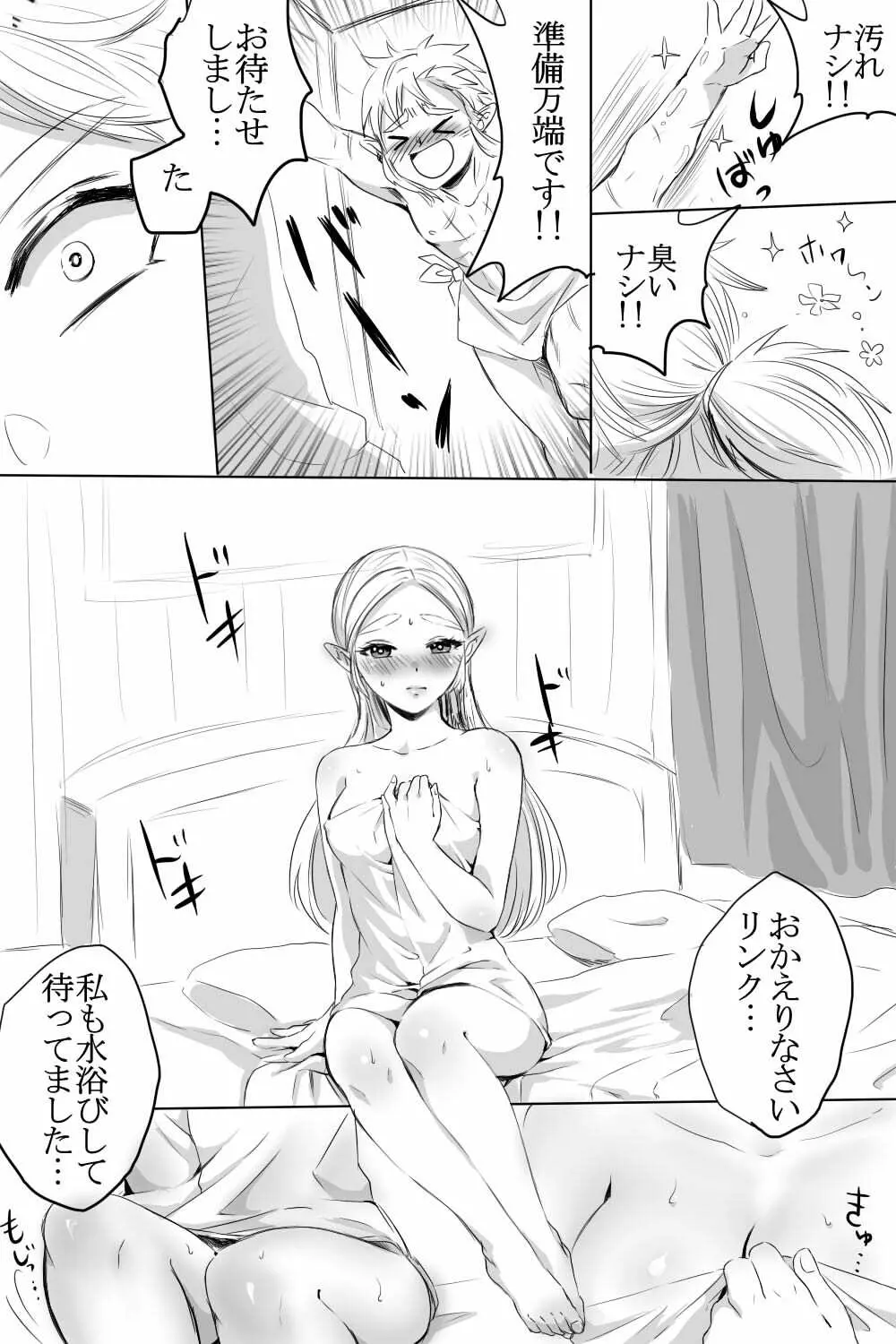 ブレワイのリンゼルがひたすらいちゃいちゃしてすけべなことする漫画 - page3