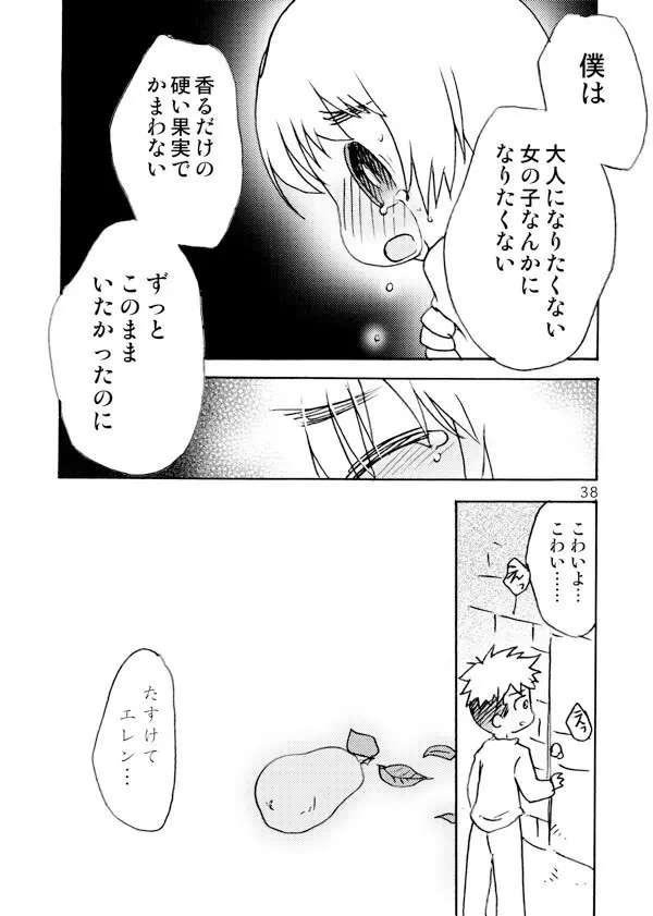 アネモネ - page38