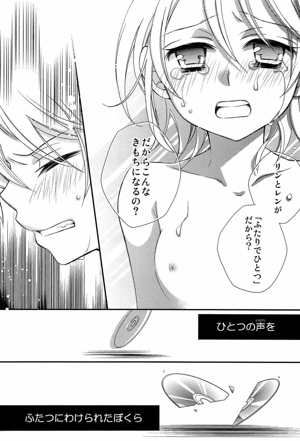 鏡音レン×リン成人向け再録集 RECORD裏面 - page27