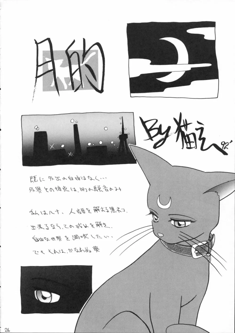 酷い本 - page25