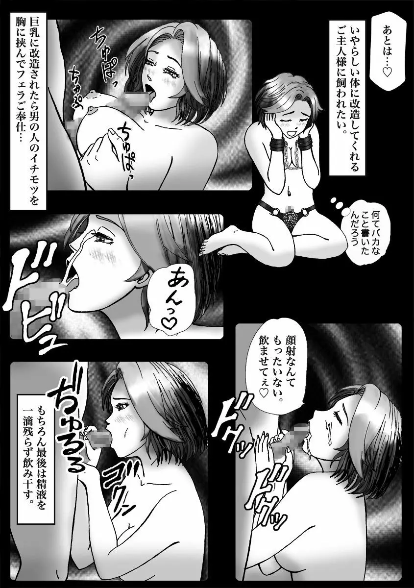 人気女装子ブロガーが拉致られて娼婦にされた件 - page26